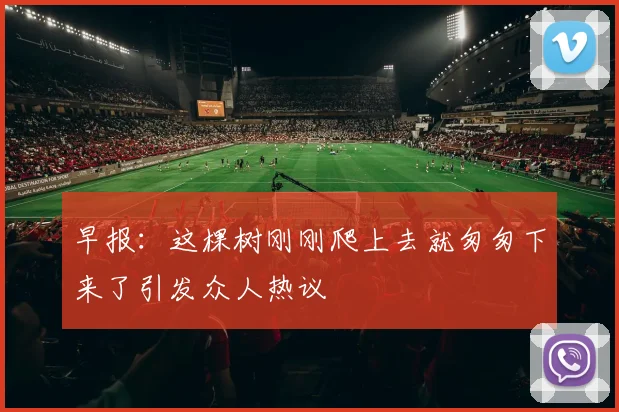 早报：这棵树刚刚爬上去就匆匆下来了引发众人热议